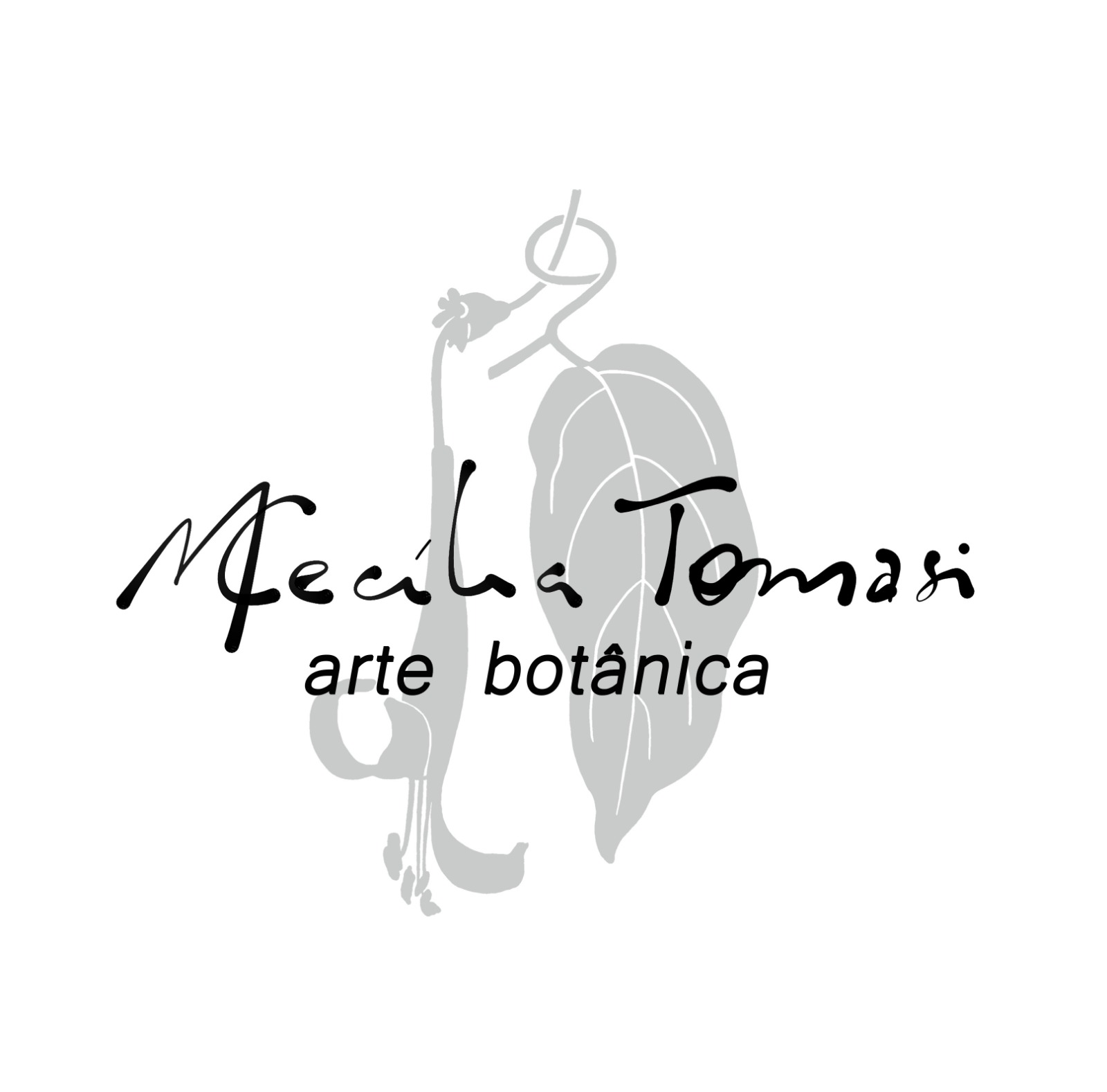 MCT Logo